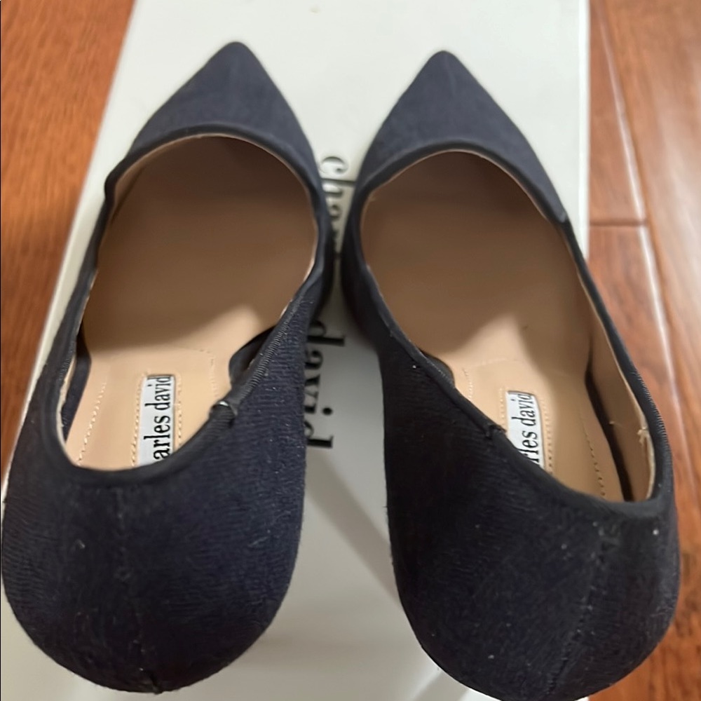 Charles David Amari Blue Pointed-Toe Heels - Picture 7 of 10